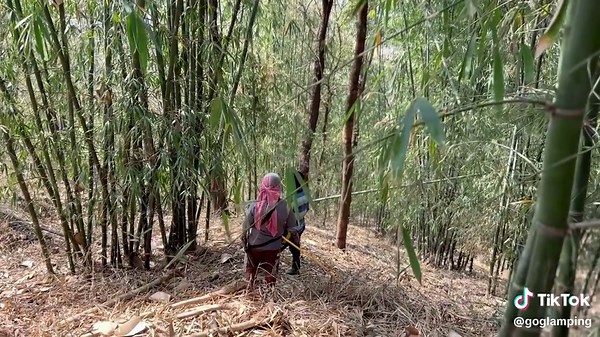 Creating a Beautiful Bamboo Gate: Part 1 Tutorial