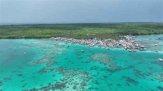 19K views · 142 reactions | Full documentary on our channel! #reels #philippines #fishing #diving #crime | Free Documentary | Facebook