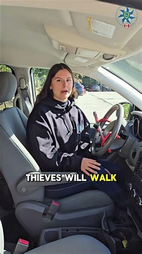 Do steering wheel locks work?\n\nYes, and they could stop your vehicle from being the easiest target.