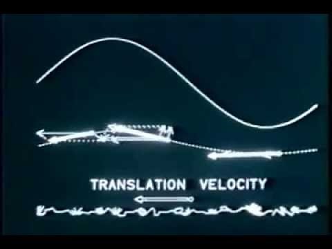 1. Eulerian and Lagrangian Descriptions in Fluid Mechanics