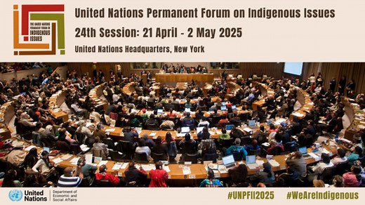 (8th meeting) UN Permanent Forum on Indigenous Issues, 24th session