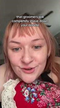 It’s almost like you picked a curly low-shedding breed #doodle #goldendoodles #dog