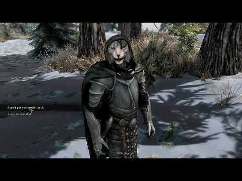 Modded Skyrim | High Poly Heads, Expressive Facial Animations