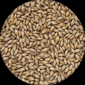 German Pilsen Malt From Crisp | German Brewing Malt For Continental Lagers
