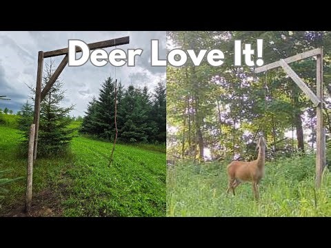 Building Mock Scrape Set-Ups You Can Use Anywhere