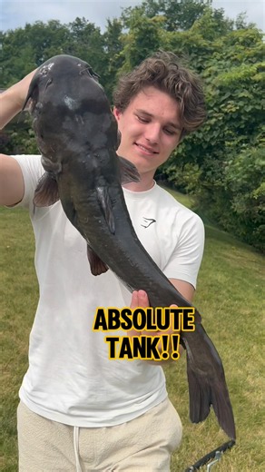 A MASSIVE Catfish Catch And Release! 🎣🐟💦 #shorts #fishing #catfish