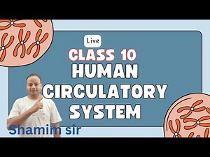 ❤️ Human Circulatory System | Class 10 Biology One Shot|Shamim@neet