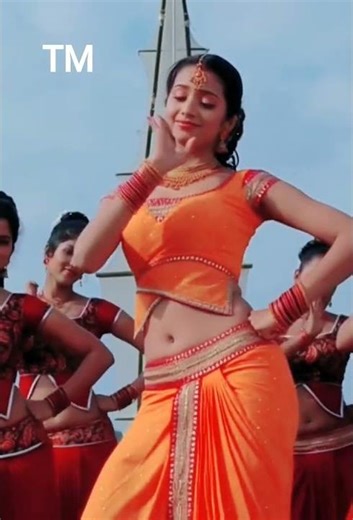 nice dans #duet #animals #funnycats