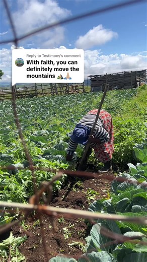 Replying to @Testimony