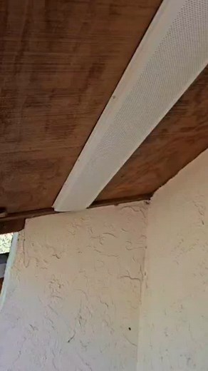 The process! #floridawildlifemanagement #spacecoastpestcontrol #pestcontrol #brevardpestcontrol #wildliferemoval #rats #veteranowned #melbournefl | FL Wildlife Removal and Pest Control