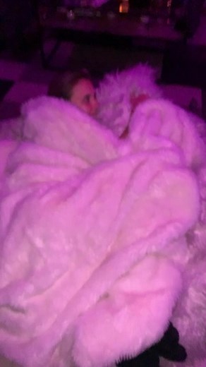 These spot the difference games are getting out of hand #got2bhome #foryoupage #fyp #dogsoftiktok #dogs