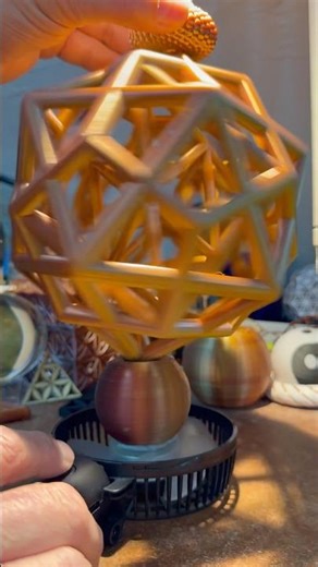 The Nested Platonic Solids in Motion. What lies within the universe? #natureofflowers