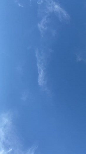 Just a work truck #fyp #foryou #duramax