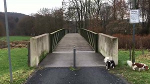 1K views · 187 reactions | THE ADVENTURES OF SD & BD | Superdog & Batdog | Facebook