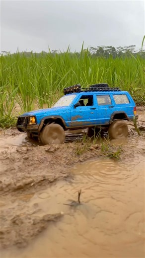 Original set, MN78 standart blue #rccar #rccars #mn78 #rcoffroad