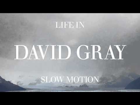 David Gray - "Disappearing World"
