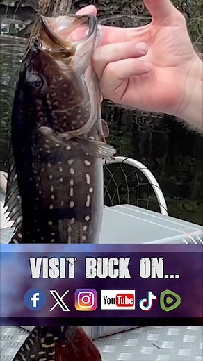 2.8K views · 22 reactions | This weekend Buck explores the Rio Negro River in Brazil & fishes for Peacock bass. A visit to Manaus is also featured. Contact Acute Angling - Amazon Peacock Bass Fishing to book your own Brazilian adventure VISIT BUCK ON FACEBOOK, TWITTER, INSTAGRAM, YOUTUBE VIMEO, TUMBLR, TIKTOK, RUMBLE, & BUCKMCNEELY.COM #hunting #fishing #reels #brazil #bass #bassfishing #amazon #jungle #animals #travel #adventure #safari | The Outdoorsman with Max McNeely | Facebook