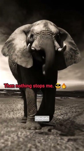 When Calm Turns Unstoppable #shorts #viral #motivation #trending