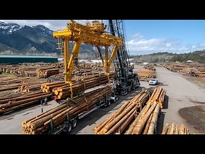 Modern Logging Machines, Log Transport, and Advanced Sawmill Technology From Forest to Factory