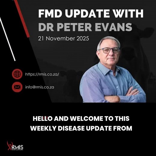 27 reactions |  NEW: FMD Update from Dr Peter Evans Get the latest insights straight from the RMIS Veterinarian. This week’s Foot-and-Mouth Disease (FMD) voice note is now available — covering everything farmers need to know. Stay informed: https://rmis.co.za/fmd-updates/ Let’s protect our herds, together. | RMIS - Red Meat Industry Services | Facebook