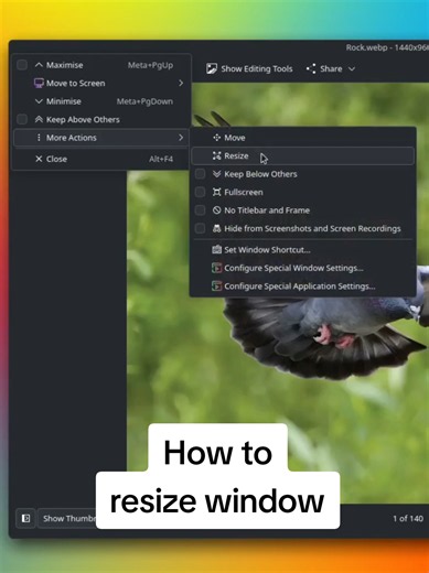 How to Resize a Too-Large Window in Linux (Alt Tab & Window Settings)