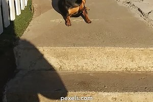 Command Prompt Videos, Download The BEST Free 4k Stock Video Footage & Command Prompt HD Video Clips