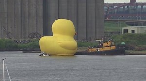 12K views · 405 reactions | Tall Ships Duluth has kicked off in Duluth, Minnesota! Yes, that's a GIANT rubber duck. You can see the duck about an hour and 18 minutes into the video. | KSTP-TV | Facebook