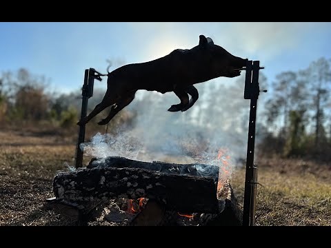 Wild Pig Hunt And Rotisserie Over the Fire! SO GOOD!