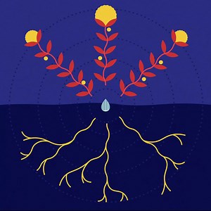 4.6K views · 724 reactions | “By small and simple things are great things brought to pass” (Alma 37:6). What's one small, good thing you can do today? | The Book of Mormon: Another Testament of Jesus Christ | Facebook