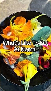 What's It Like To Eat At Noma World's #1 Restaurant #copenhagen #food #travel #denmark #foodie