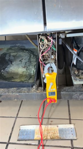 #refrigeration #rpmsocal nasty freezer 😬🪳failed compressor relay✅❄️💨🪳 | RPM SoCal HVAC and Refrigeration