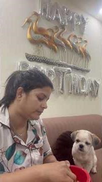 Aj simba ki karne m kya h #doglive #cuteanimal #simbaboss #dogsworld #dogster #doggie #adorabledog