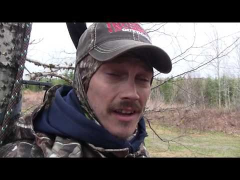 Rush Outdoors Spring Black Bear Hunting in New Brunswick, Canada at Taxis River Outfitters