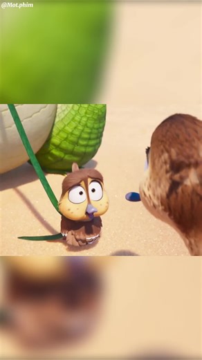 Chuyên bay sai hướng định mệnh…#hoathinh #vuinhon #review #fyp #foryou