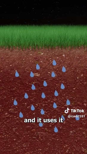 The Journey of a Raindrop Explained