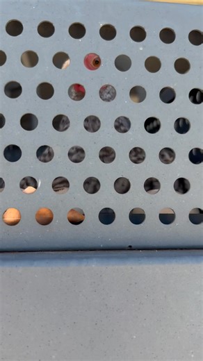 Danielle Richards on Reels