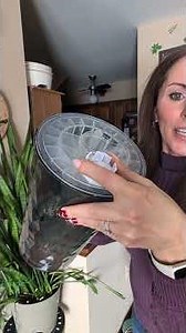 Lightup humidifier! Check out my review & shop my Amazon store #humidifier https://amzn.to/4rILDBg