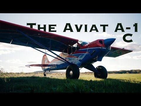 I Tried a Husky… Now I’m Conflicted