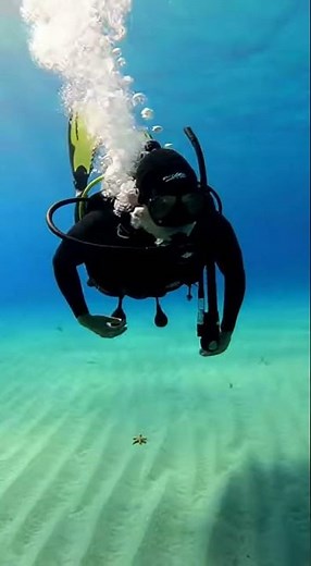 Deep Sea Treasure Discovery – Realistic Underwater Dive (4K)