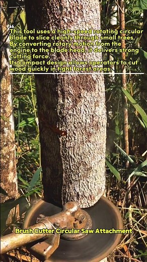 Powerful Brush Cutter Saw Cutting Small Trees Fast! #WoodCutting #ForestryTool #DIY