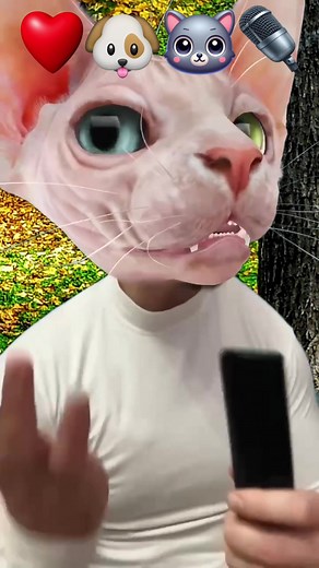 Tom Sings Catch Cat & Dog Sing Emoji