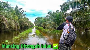 Mancing Disungai ❌ Mancing Ditengah Jalan ✅ | Angler 2001