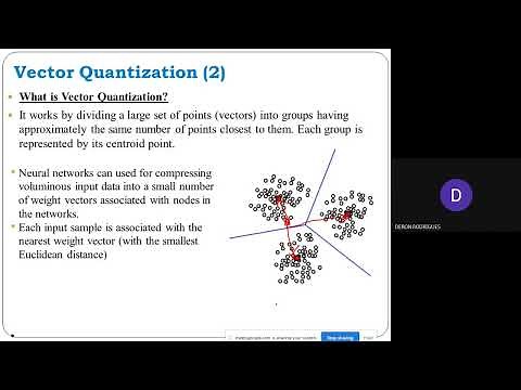 Vector Quantization and Learning Vector Quantization