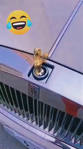 Exploring Low-Quality Content on TikTok