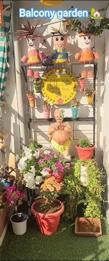 balcony garden|balcony decoration|home garden|🏡
