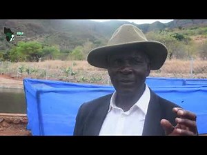 Fish Farming Boom in Zimbabwe: Chimanimani Farmers Dive Into Aquaculture for Survival