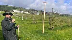 Wiggwil: Regionale Landwirtschaft und Agri-Photovoltaik