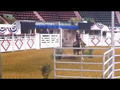 AQHA Versatility Ranch Horse Amateur Trail (See Obstacles)
