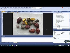 9 Detectron2 Training Demo