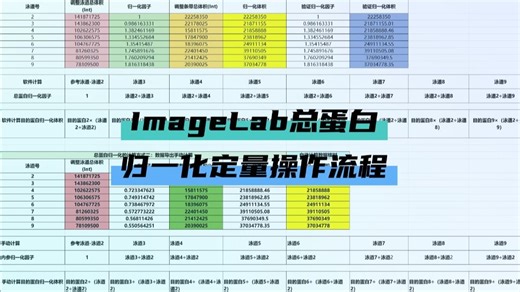 ImageLab总蛋白归一化定量操作流程